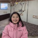 타이어캠프 | 캠프그라운드 화우캠핑장(250220~0222)
