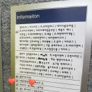 나우커피 인천신기중앙점 | 인천 서구 | 네일한장면 | 짝꿍 인생 첫 페디큐어 받고 대만족한 솔직 후기