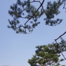 문선사