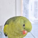 황태자농장 이미지