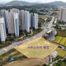 서현5층약국 네이버블로그