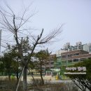 천지연금사우나 이미지