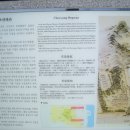 BIFF광장 이미지