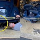 오지랖차수리 이미지