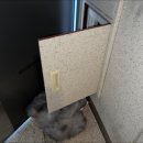 수원-1313 이미지