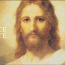 2023-주208 이미지