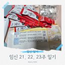 첨단기업로2L(2)-23 | 임신 21, 22, 23주 일기. 자궁경부길이 재검사 + 독감 감기약/수액