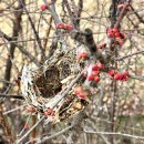 꽃피는집 이미지