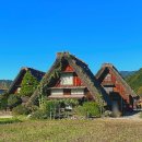 버스 | 나고야 혼자 여행 시라카와고 버스투어 후기