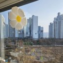 코아스코리아 이미지