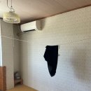 오분민박 | 가고시마 요론섬 숙소 민슈쿠묘조소 은하수 보이는 일본시골 민박집