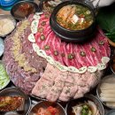 춘춘갈매기