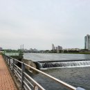 최무선로 이미지