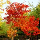 방화근린공원 이미지