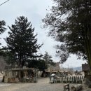 무주읍104 | 무주에서 만난 1970년대 시간이 멈춘 빈티지 카페 '전북제사 1970'