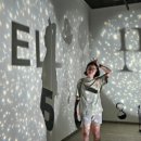 인의 | 괴이스럽고자 하며 지적 과시욕으로 가득찬 ADHD인의 넬스룸 후기