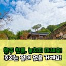 산속등대미술관 | 완주 여행 후기: 진짜 핫플만 골라봤다! 후회는 없을 거예요.