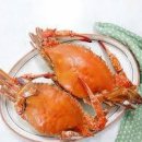 사계절꽃게 이미지