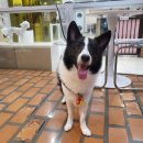 행복한우리약국 이미지