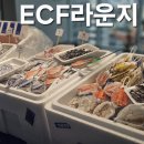 이씨에프 | 홍대팝업스토어 :: 이씨에프라운지 후기