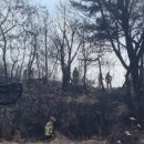 동원주유소 이미지