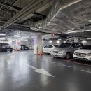 스피드플러스원 이미지