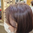 하스헤어