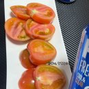 반딧불청과 이미지