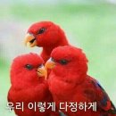 노래짱 이미지