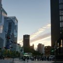 뮤지컬 비밥 | 뮤지컬 비밥 후기 : )