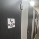 고전면 | 단풍과 함께한 하동 해달별 캠핑장, 가을 감성 물씬한 가족 캠핑 후기