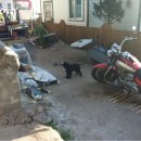 영덕 블루로드 민박 이미지