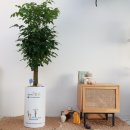 행운 행정사사무소 이미지