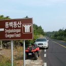 선흘 그곳 이미지