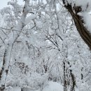 24/1/10일 수요일 북한산 눈 꽃 번개 산행 이미지