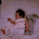 다채놀 | [제주 숙소] 키즈 프렌들리 감성 숙소 추천 &#34;다채놀&#34;