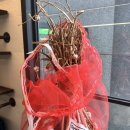 우백탄 본점 이미지