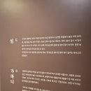 일제강점기군산역사관 | 군산여행 아이와 함께가면 좋은 곳 일제강점기군산역사관 방문 후기