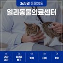영통동물병원 이미지