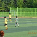 조천중학교 이미지