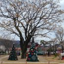 솔담브레드 이미지