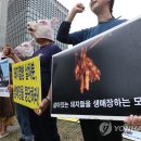 이강인농장 이미지