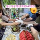 정선 사북 햇빛누리펜션 후기, 비 오는 날 더 좋았던 숲속 힐링 숙소