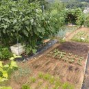 용무농장 이미지