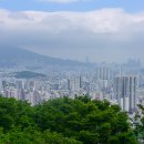 상학초교 이미지