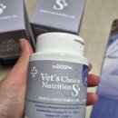 초이스디자인 | 16살 믹스 노령견 피부 영양제 닥터독 베츠초이스 S+ 신제품 급여 후기