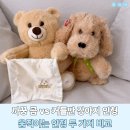 곰세탁 | 까꿍 곰 vs 커들반 강아지 인형 솔직 후기 | 움직이는 인형 아기 반응