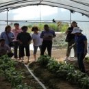 이순석농장 이미지