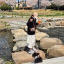 878 | 30·40대 맘들이 진짜 좋아할 운동화! 뉴발란스 878 그레이 솔직 후기 #내돈내산🏃‍♂️