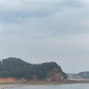 밤바다에서 건져 올린 술안주! 어은돌해수욕장 야간 해루질 대박 조과 후기